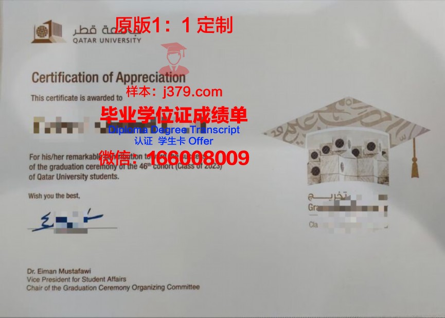 卡塔尔U成绩单分析:未来职业发展的风向标