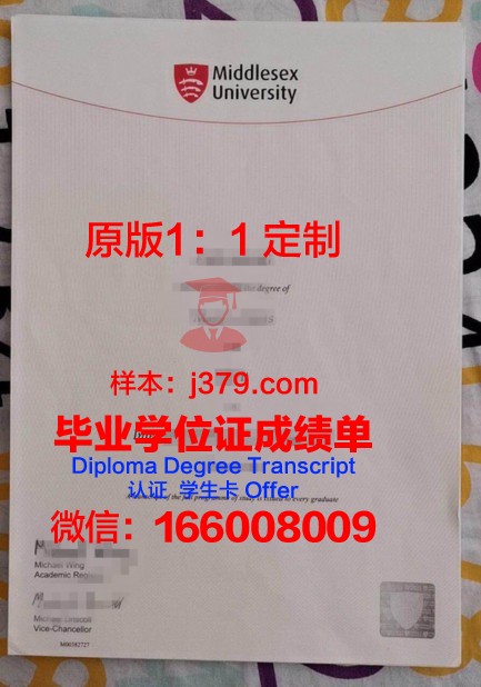 如何获得萨斯博士证书:详细指南
