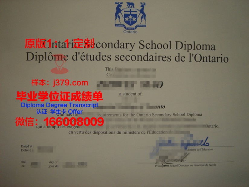 安省艺术与设计大学本科毕业文凭
