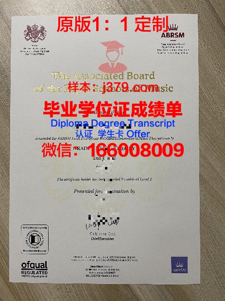 匹大Diploma证书:国内认可度与就业前景分析