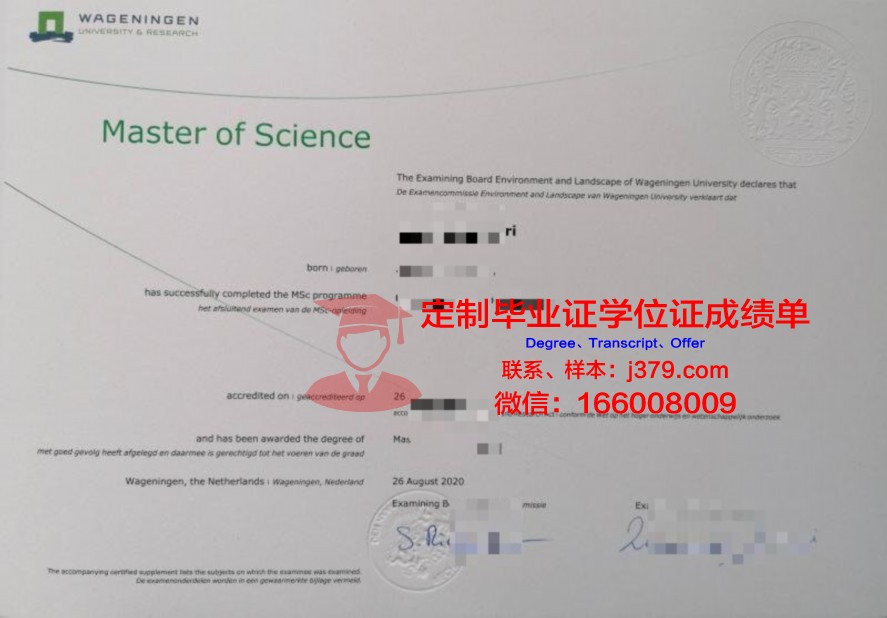 哥白大硕士证书:含金量与就业前景分析
