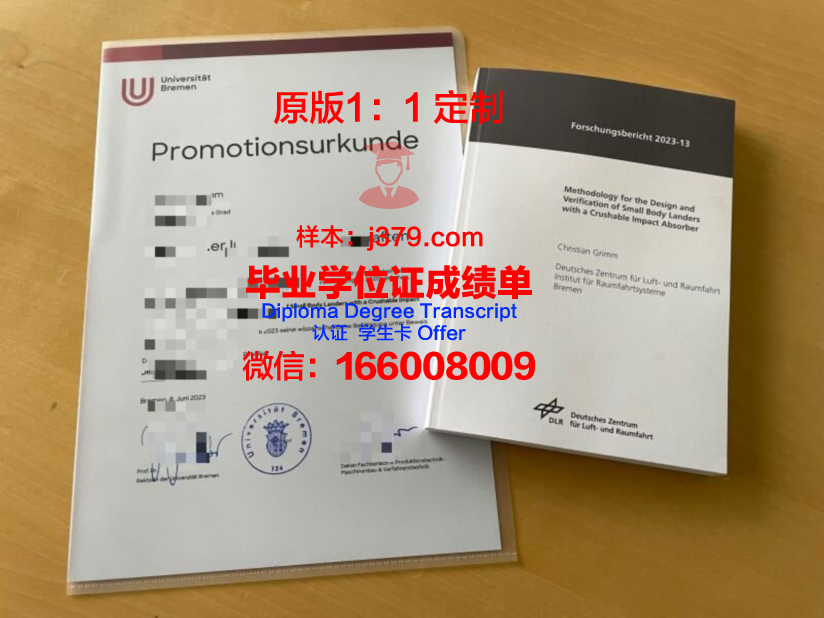 群大博士证书:探索博士教育的发展前景