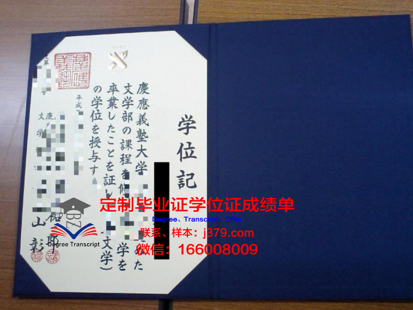 S?o Paulo高级学位证书