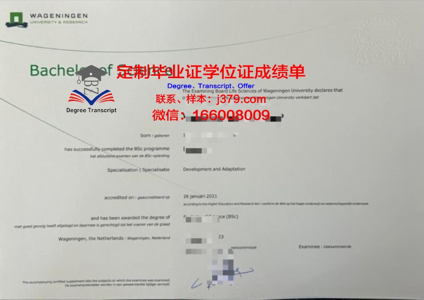 索大本科证书:国内外高校对比与优势分析
