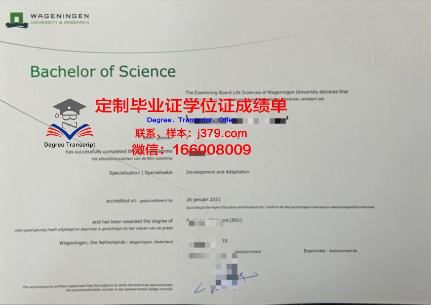纽约州本科资格证书