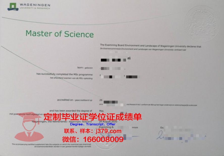 伊巴大硕士证书就业前景预测