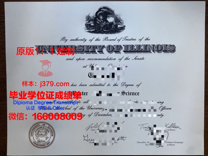 NGU硕士证书:专业选择与课程设置详解