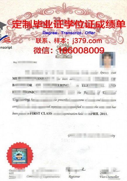 印度理坎普Diploma证书课程设置一览