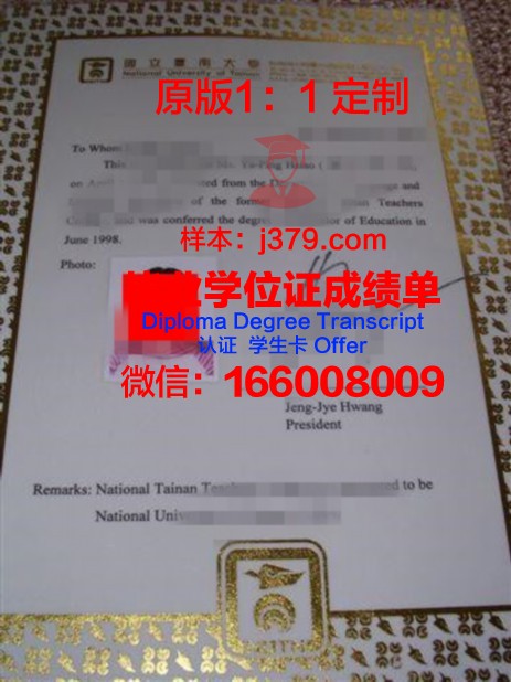 帕马大本科证书:专业选择与课程设置解析