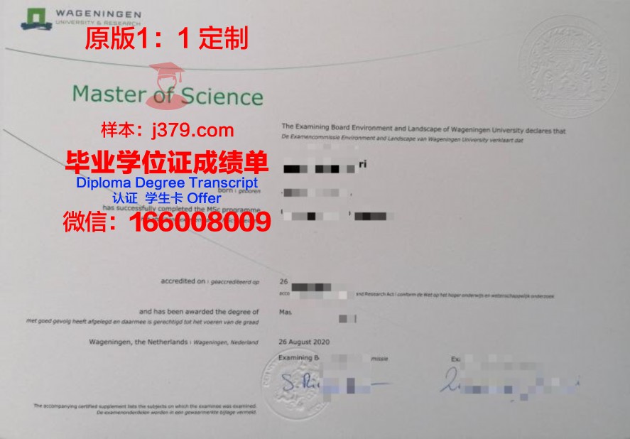伊科技毕业证所涵盖的专业技能解读