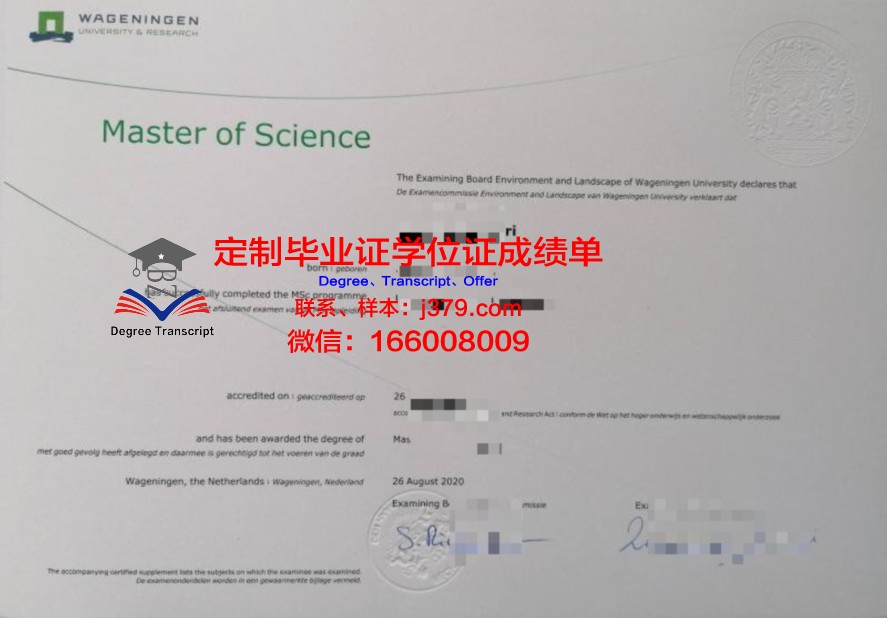 如何辨别塞维毕业证文凭的版本与年份