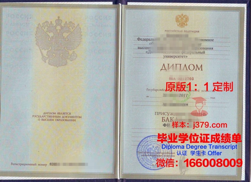 联邦高级证书成绩报告