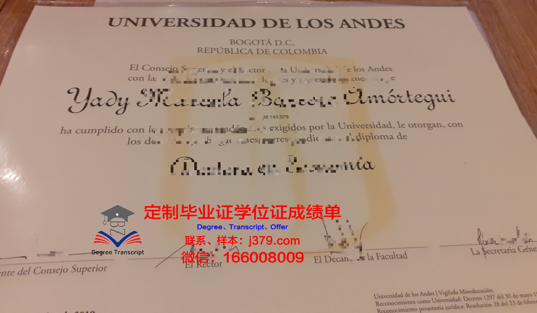 智利学术证书与成绩单摘要