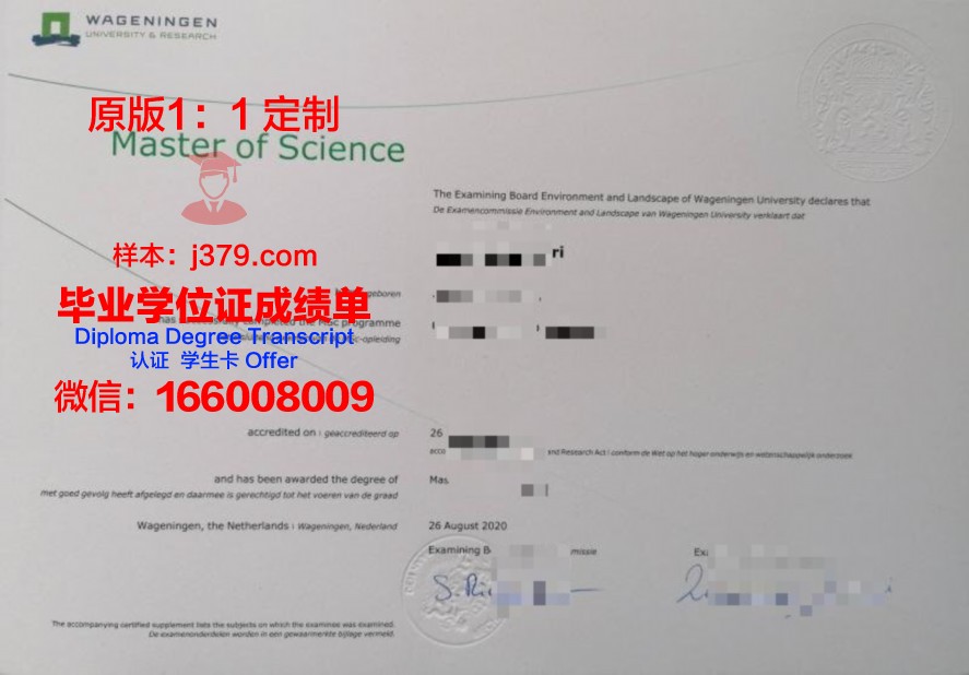 NGU硕士证书:专业选择与课程设置详解