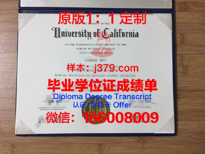 滨海大学敦刻尔克国际高等商学院diploma证书