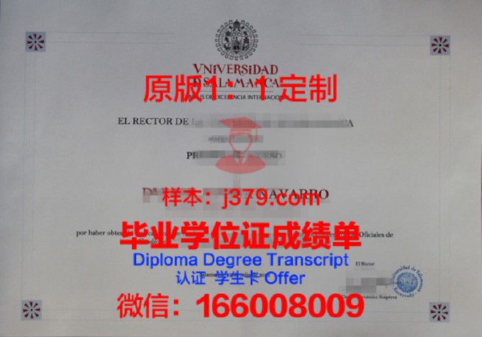 费撒巴拉政府大学学院毕业证尺寸(费萨拉巴德政府学院)