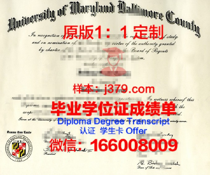 巴尔的摩大学毕业证等级(巴尔的摩大学世界排名)