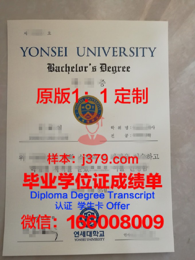 延世大学毕业证模板(韩国延世大学毕业证图片)