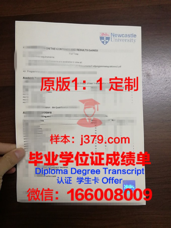 中央旁遮普大学证书成绩单