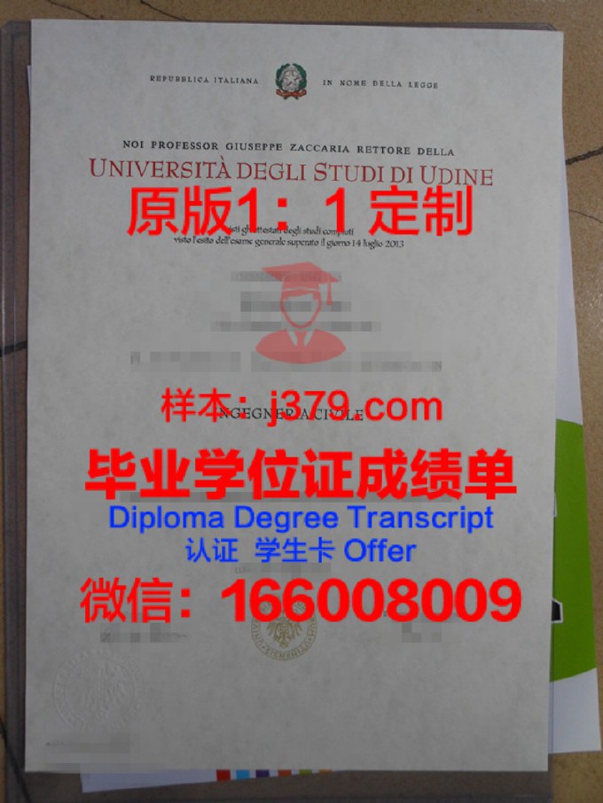 乌迪内音乐学院毕业证书图片高清(乌迪内大学世界排名)