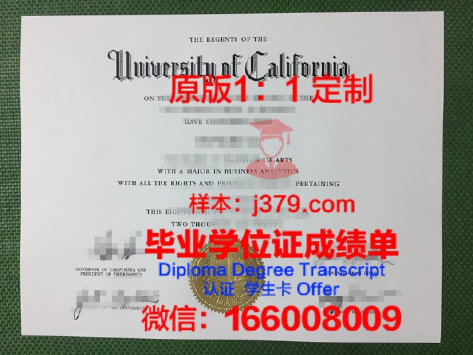 伊利诺伊大学芝加哥分校学位证书(伊利诺伊大学芝加哥学费)