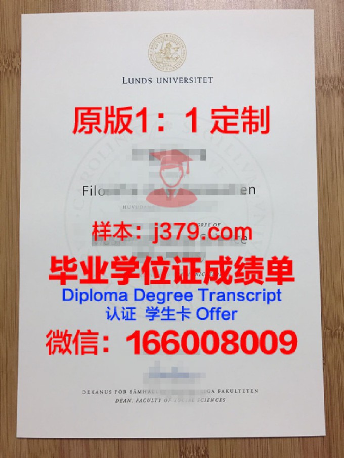 隆德大学毕业证好找工作吗(隆德大学本科申请条件)