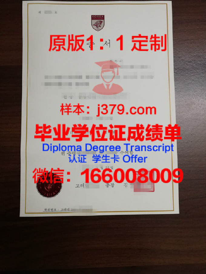 高丽大学diploma证书(高丽大学本科申请条件)