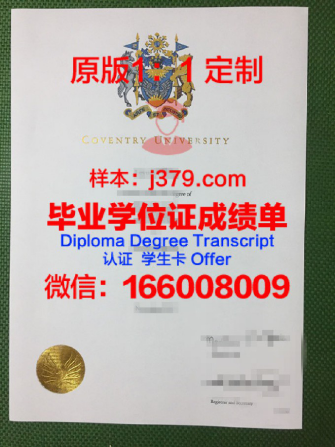 德大学录取通知书 OFFER 定制：开启德国留学新篇章