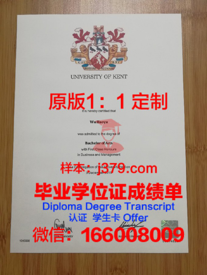 索伦特大学本科毕业证：一张通往全球的通行证