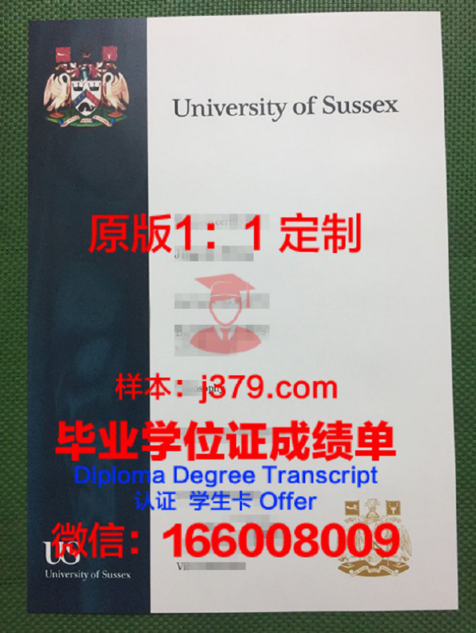 萨塞克斯大学成绩单：国际学生的学术评价与未来发展